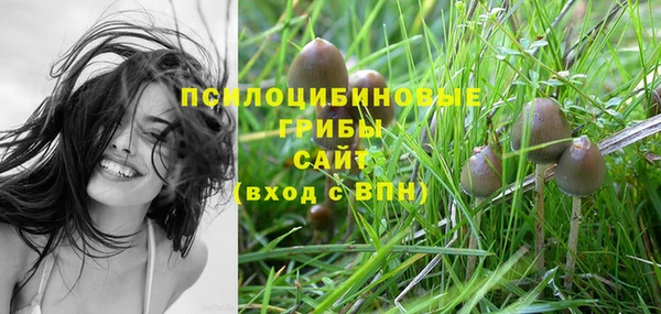 MESCALINE Абинск